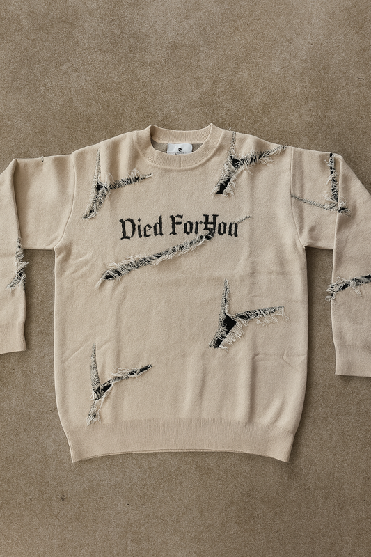 Died For You sweater