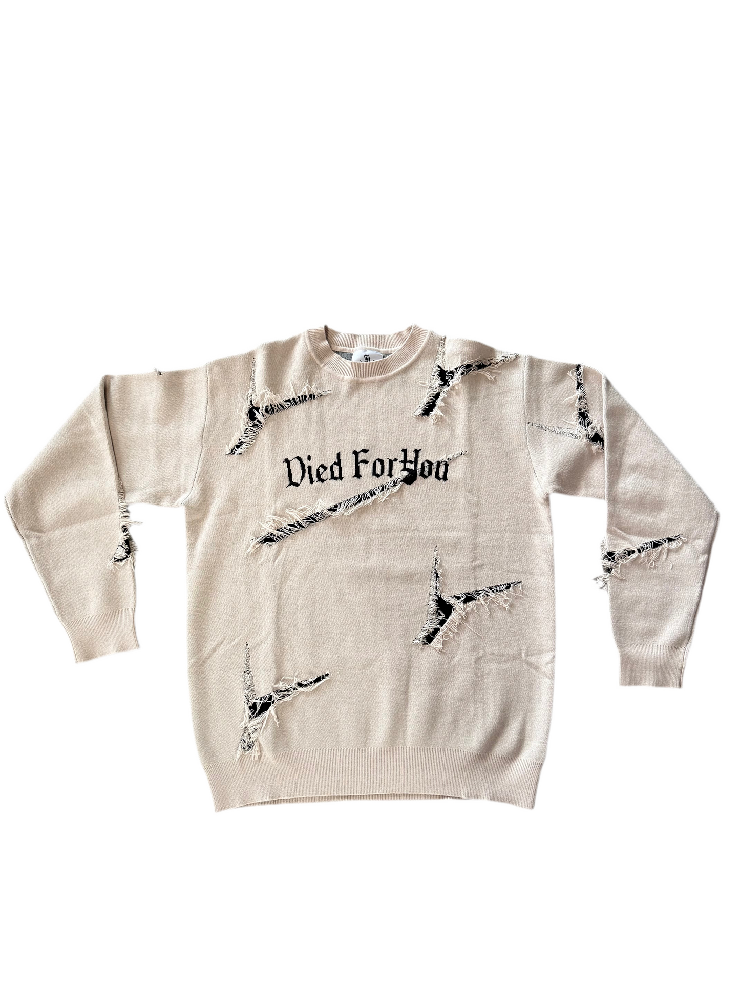 Died For You sweater